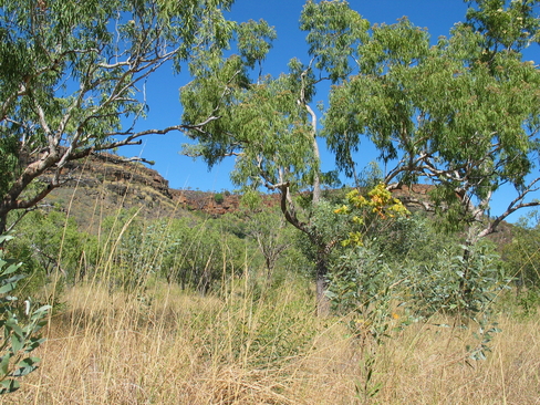 kimberleytour/photos/day07/IMG_8744.JPG